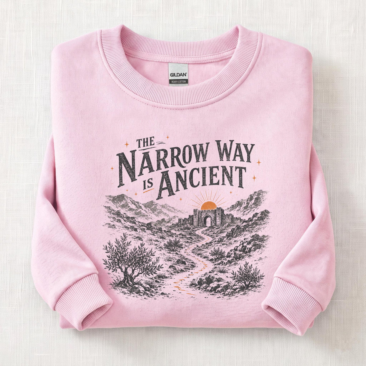 Narrow Way Sweatshirt — Light Pink