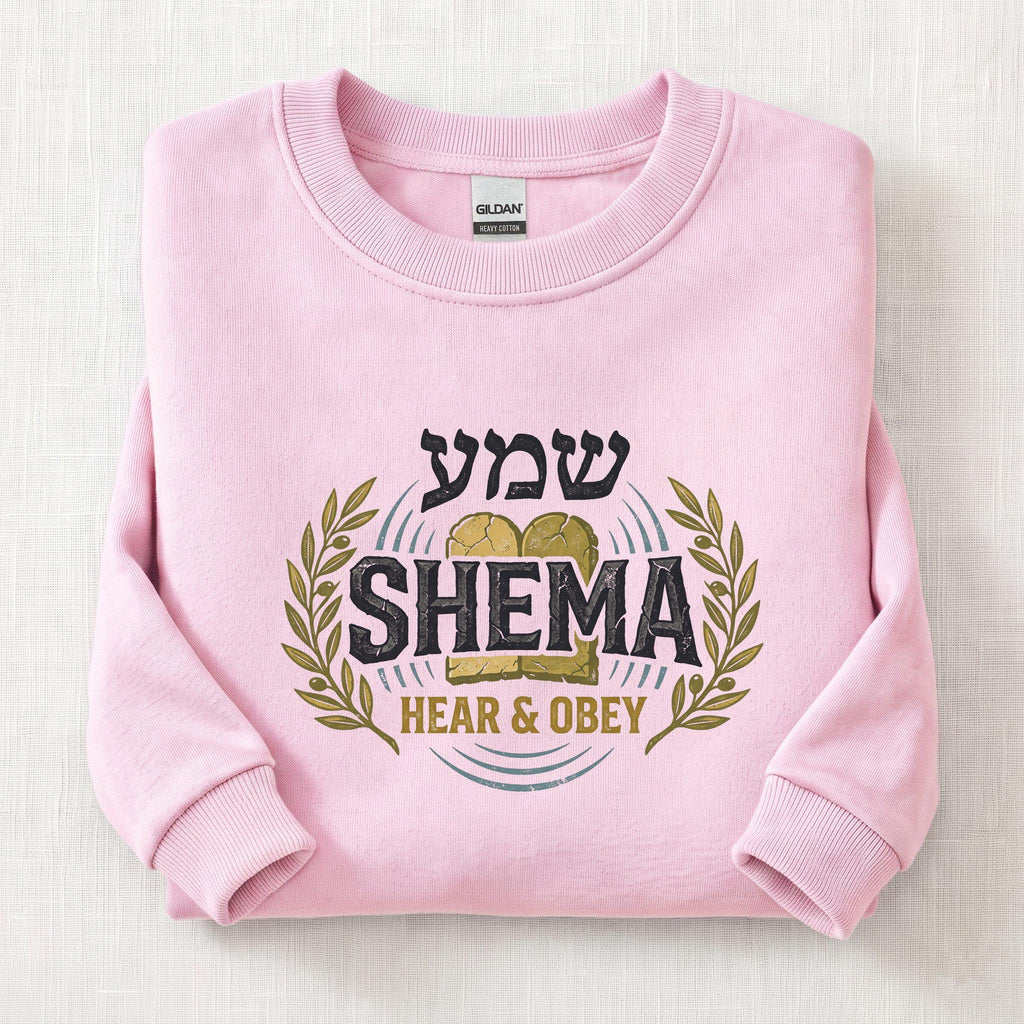 Hear & Obey Sweatshirt — Light Pink
