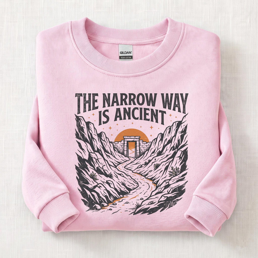 Narrow Ancient Way Sweatshirt — Light Pink
