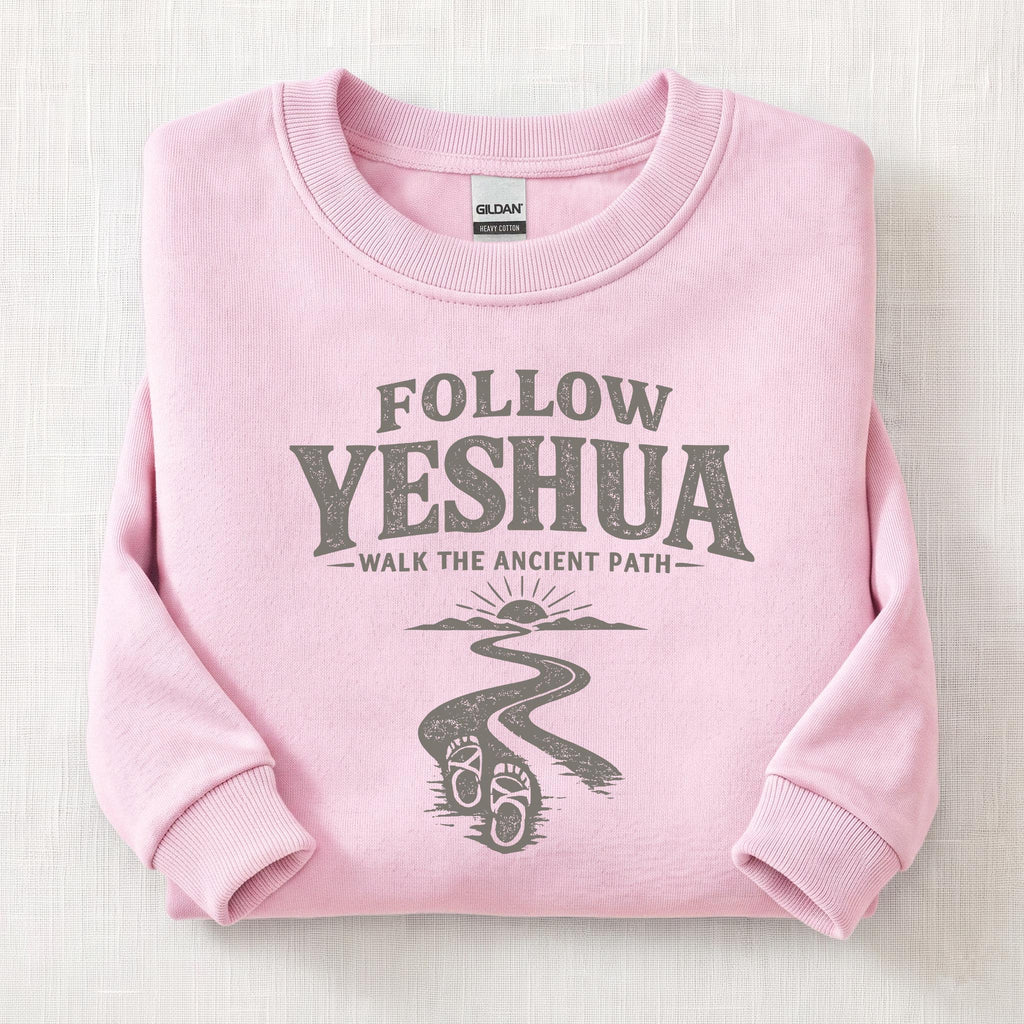 Follow Yeshua Sweatshirt — Light Pink