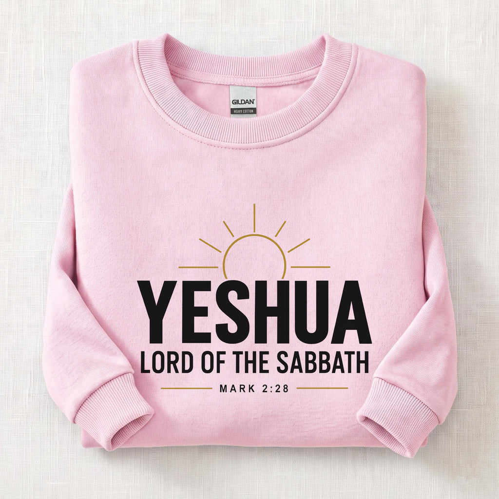 Lord Of The Sabbath Sweatshirt — Light Pink