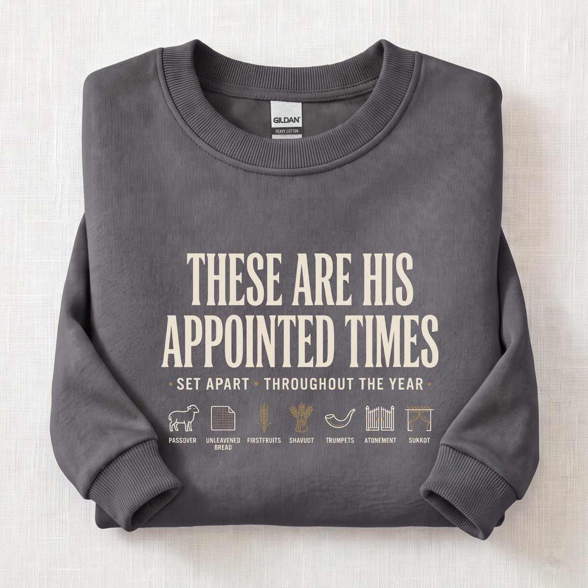 Appointed Times Sweatshirt — Charcoal