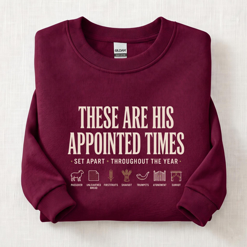 Appointed Times Sweatshirt — Maroon