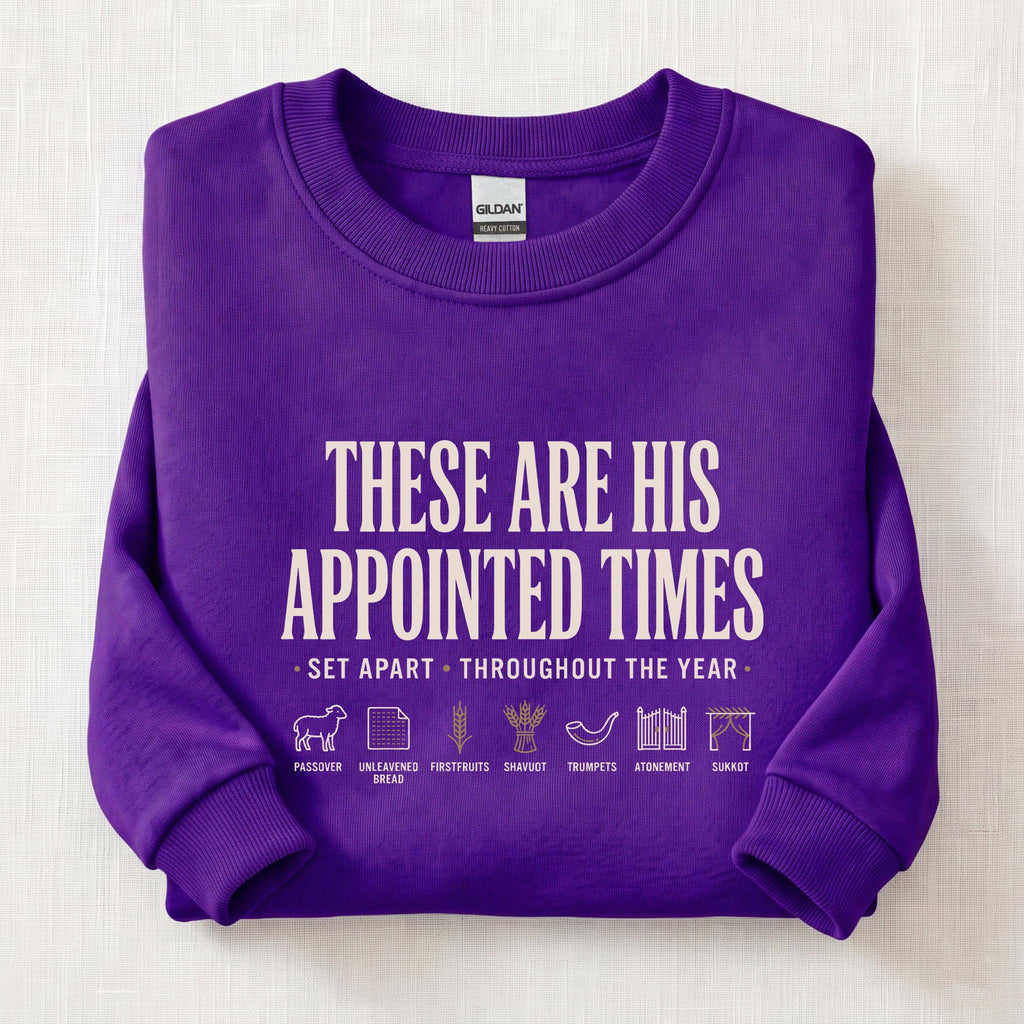 Appointed Times Sweatshirt — Purple