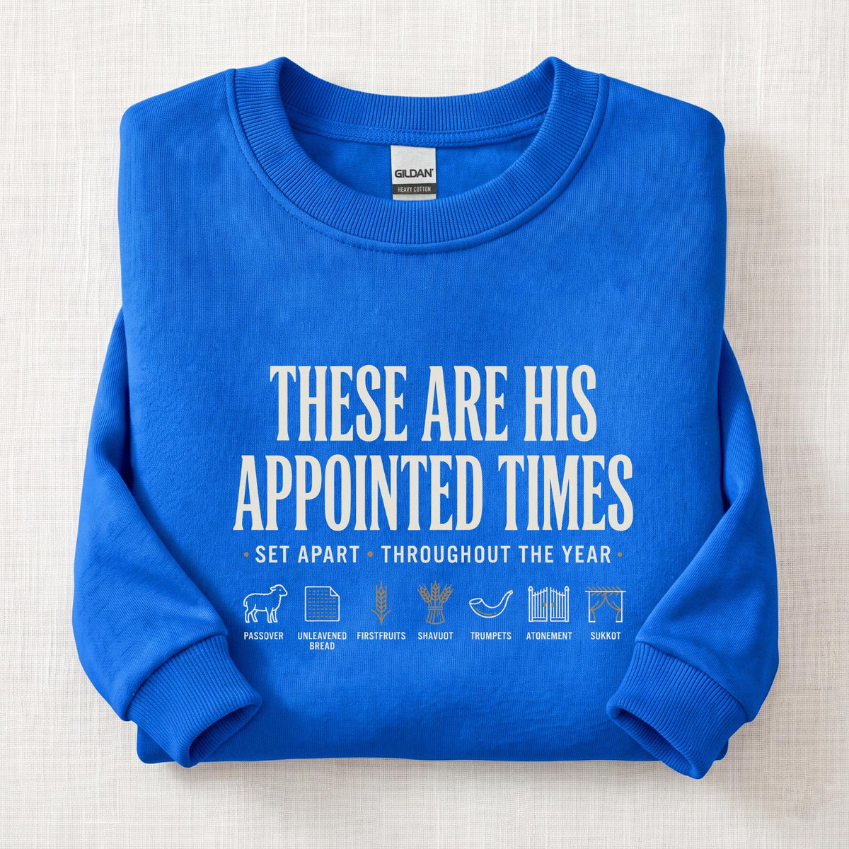 Appointed Times Sweatshirt — Royal
