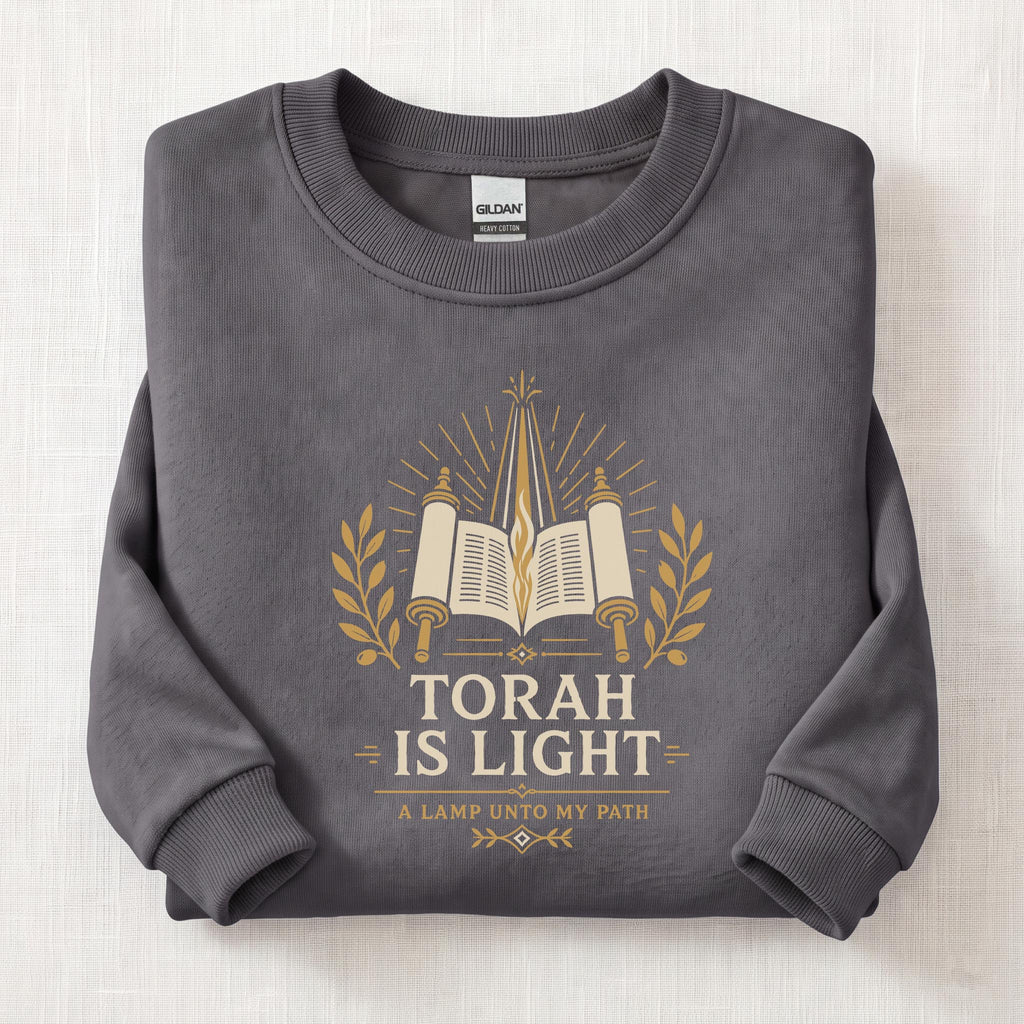 Torah Is Light Sweatshirt — Charcoal