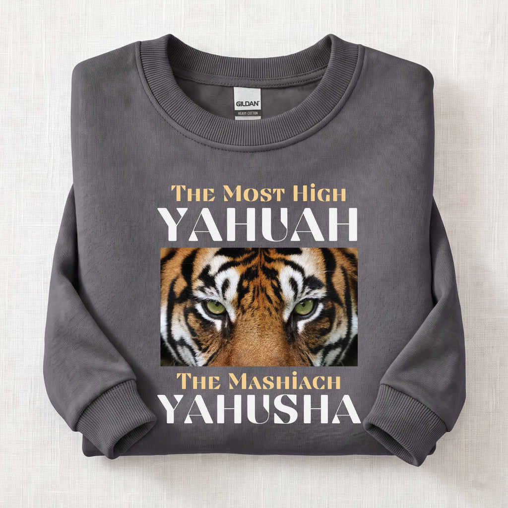 The Most High Yahuah Lion  Sweatshirt — Charcoal