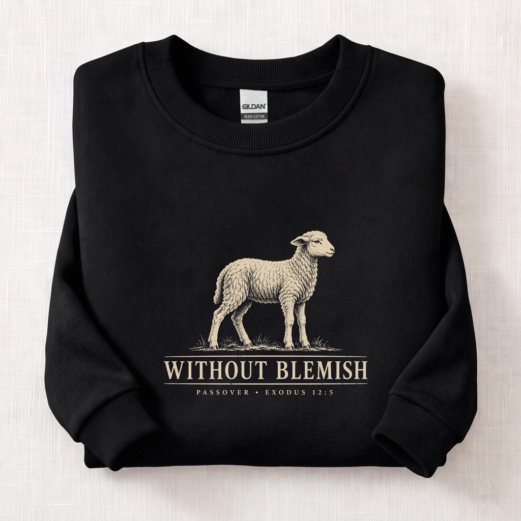 Without Blemish Passover Sweatshirt — Black