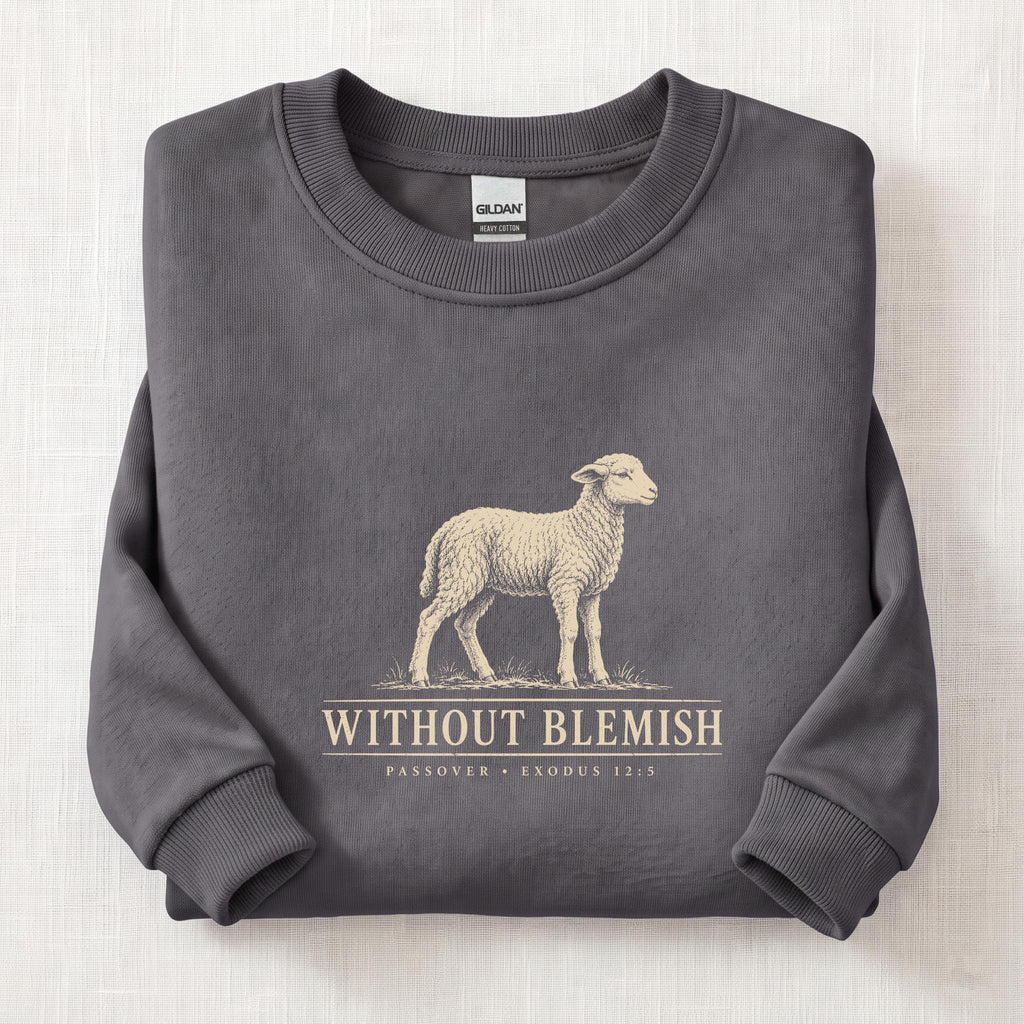 Without Blemish Passover Sweatshirt — Charcoal