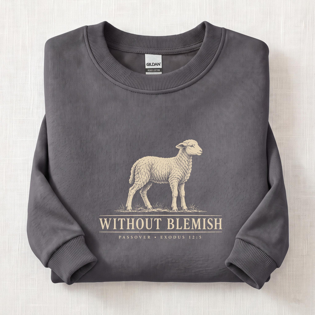 Without Blemish Passover Sweatshirt — Charcoal