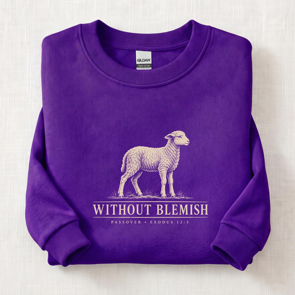 Without Blemish Passover Sweatshirt — Purple