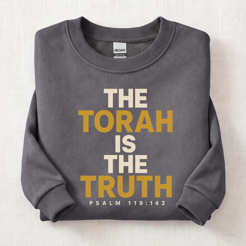 The Torah Is The Truth Sweatshirt — Charcoal