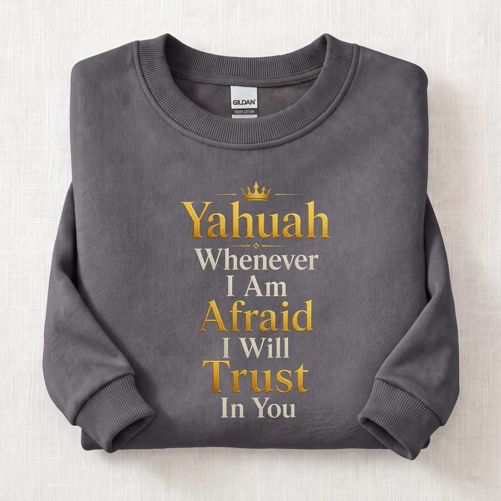 Whenever I'm Afraid Sweatshirt — Charcoal