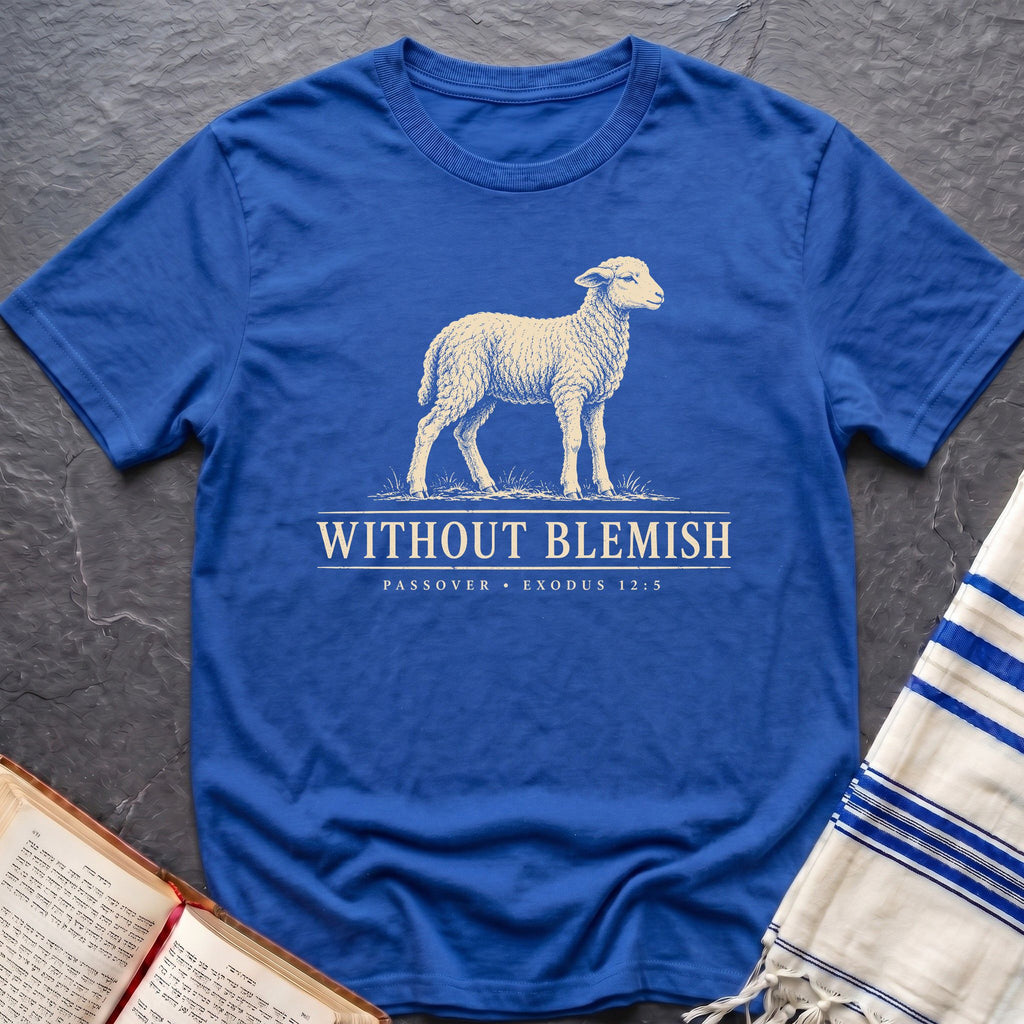 Without Blemish Passover T-Shirt