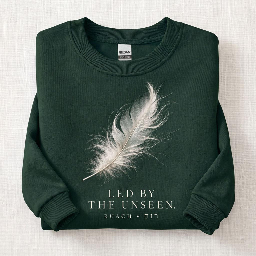 Led By The Unseen Sweatshirt